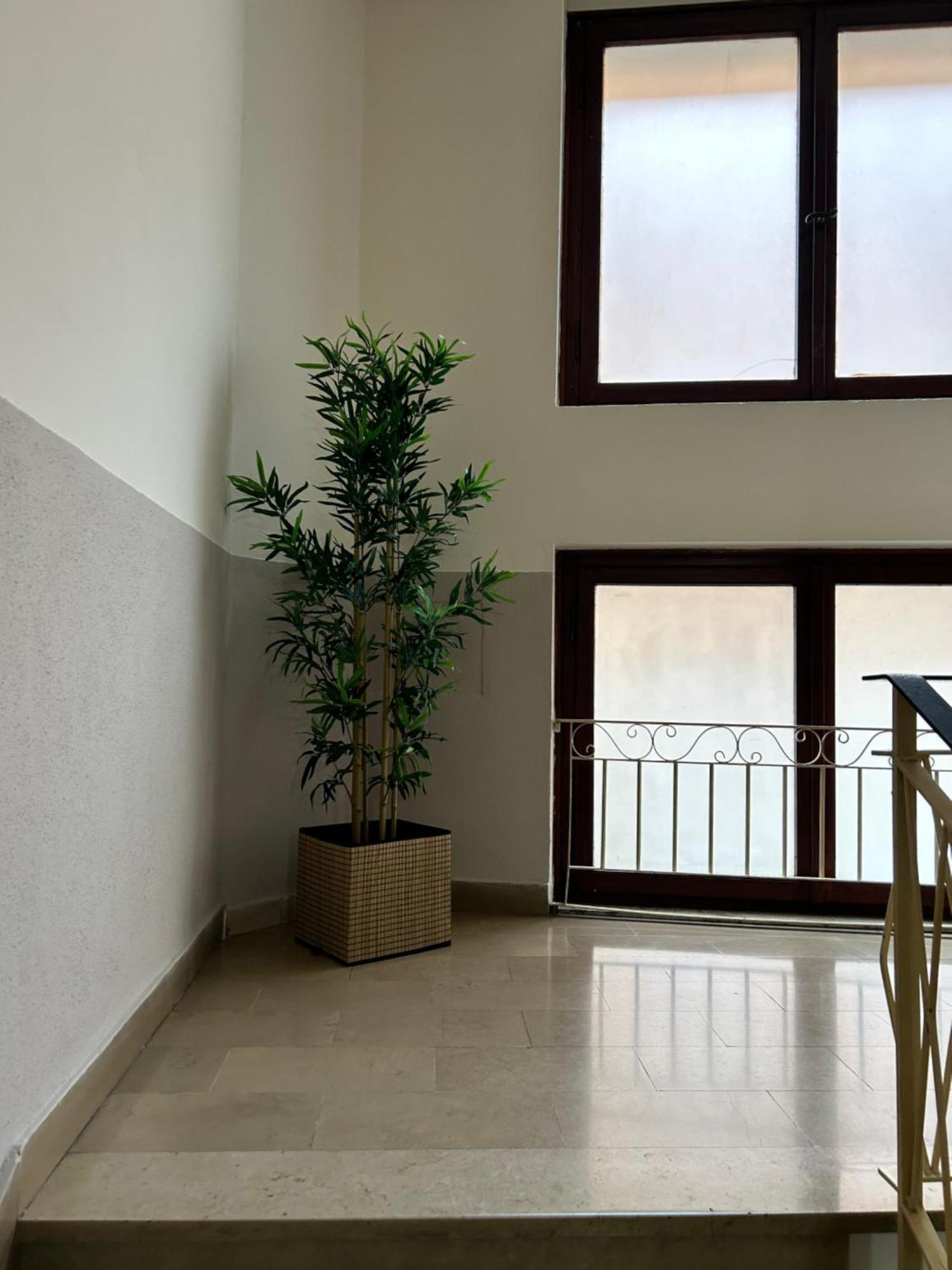 Hotel Cecile Пиза Екстериор снимка